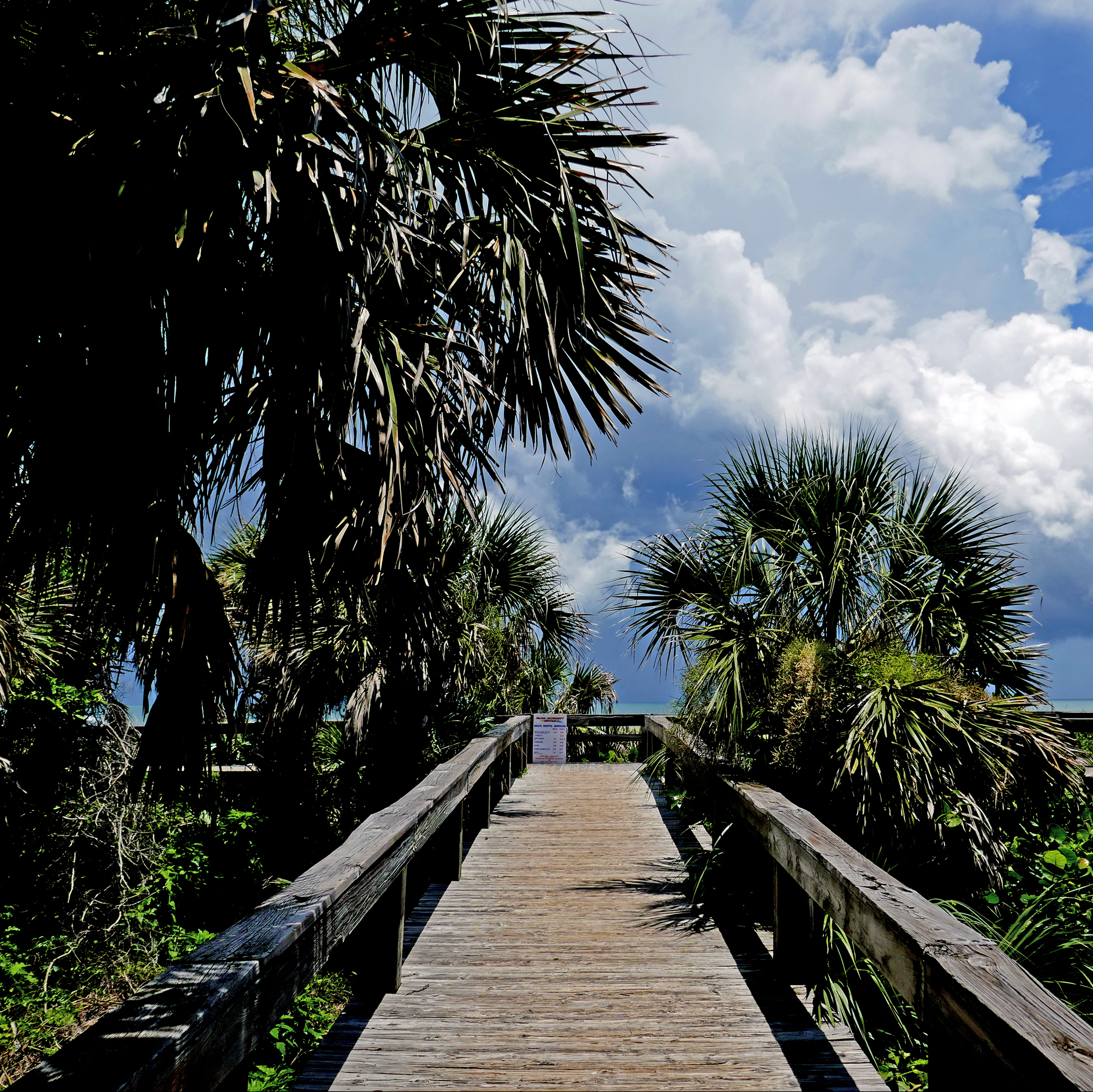 Beach view at Lori Wilson Park, Cocoa Beach, with sea oats lining the dune line.